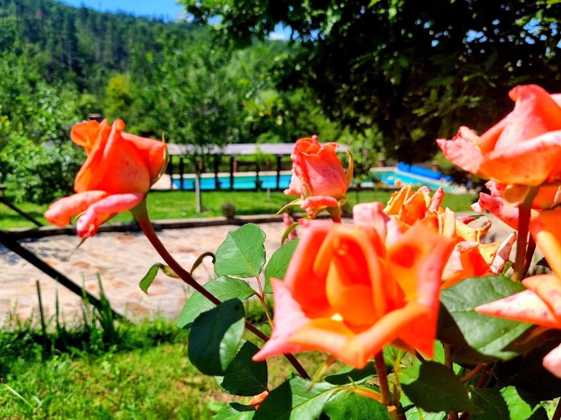 Agriturismo Hidden Paradise Villa Tryavna Exterior photo