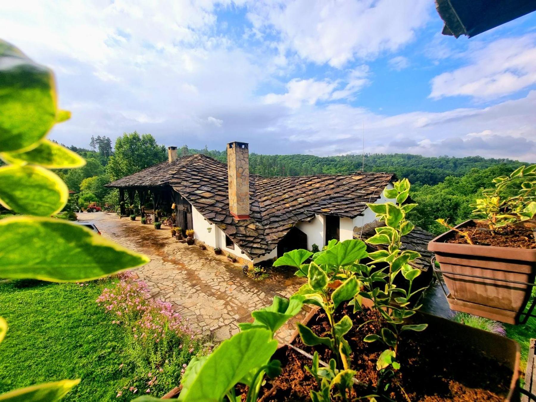Agriturismo Hidden Paradise Villa Tryavna Exterior photo