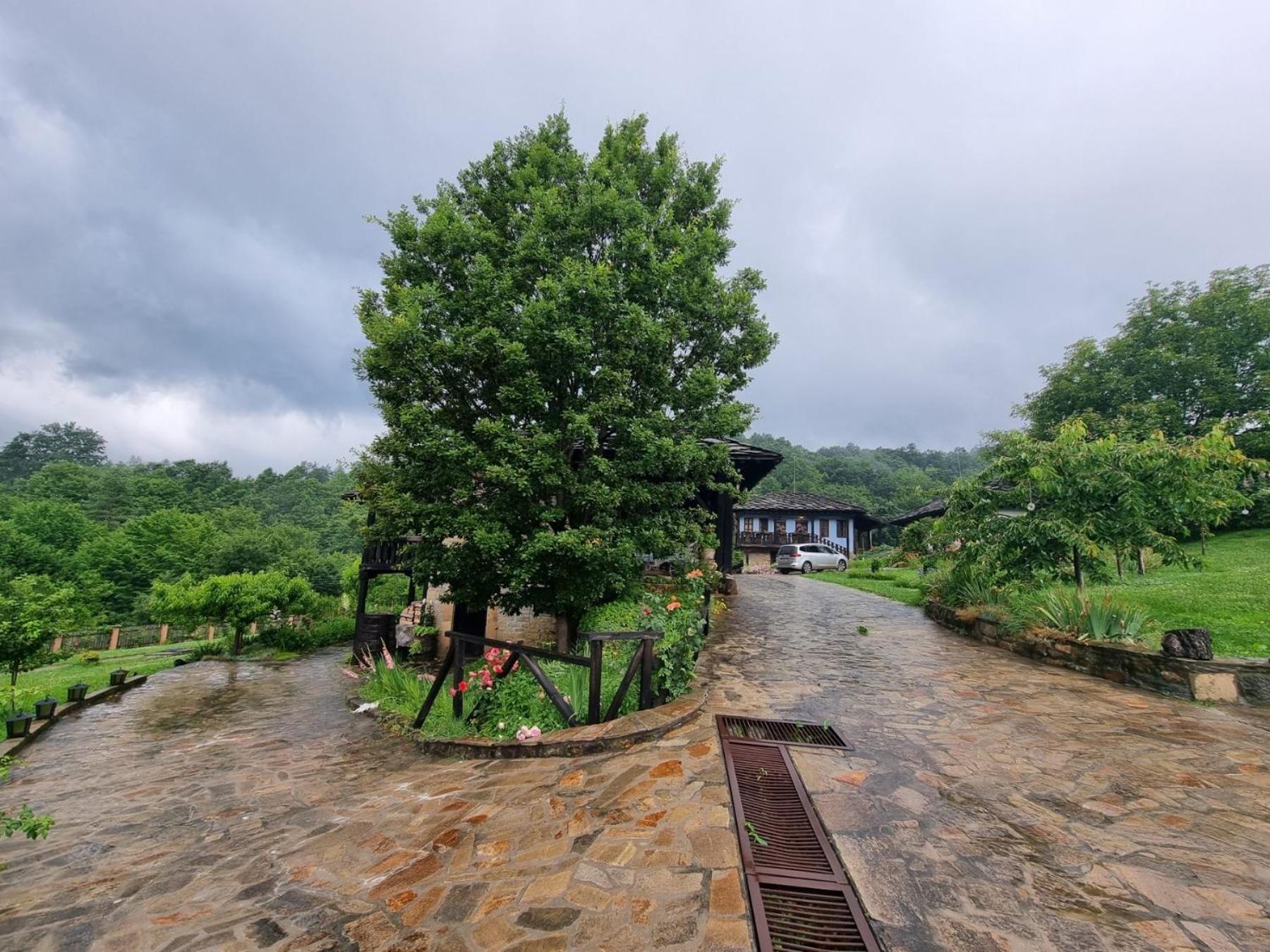 Agriturismo Hidden Paradise Villa Tryavna Exterior photo